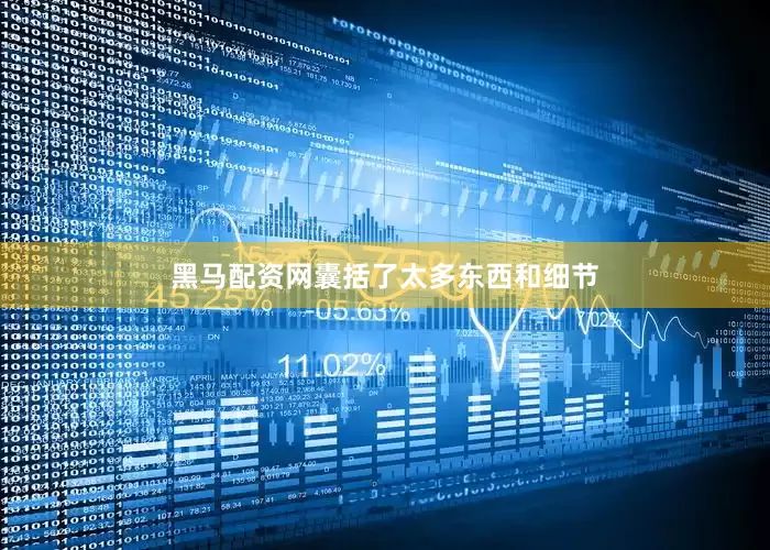 黑马配资网囊括了太多东西和细节