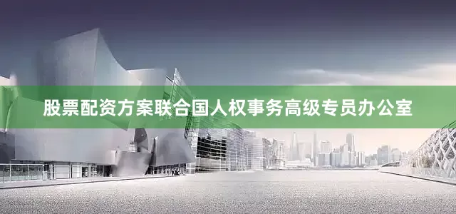 股票配资方案联合国人权事务高级专员办公室
