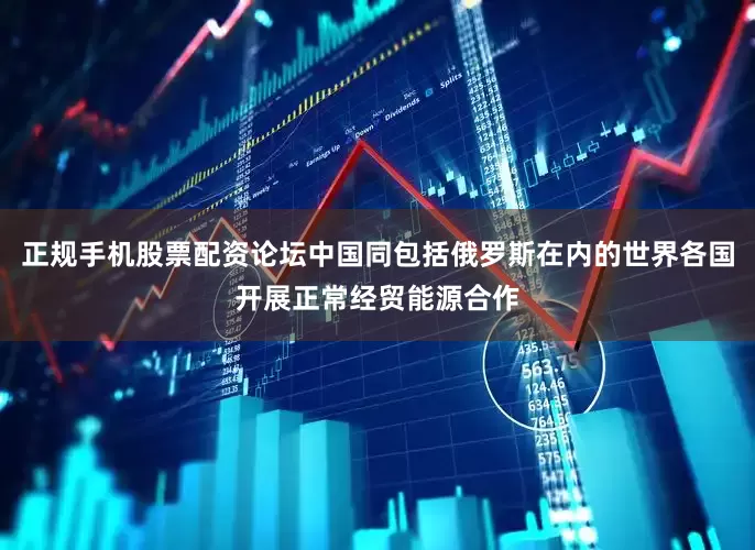 正规手机股票配资论坛中国同包括俄罗斯在内的世界各国开展正常经贸能源合作