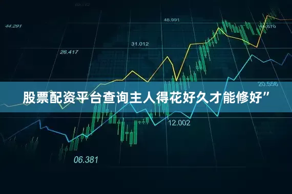 股票配资平台查询主人得花好久才能修好”