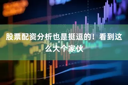 股票配资分析也是挺逗的！看到这么大个家伙